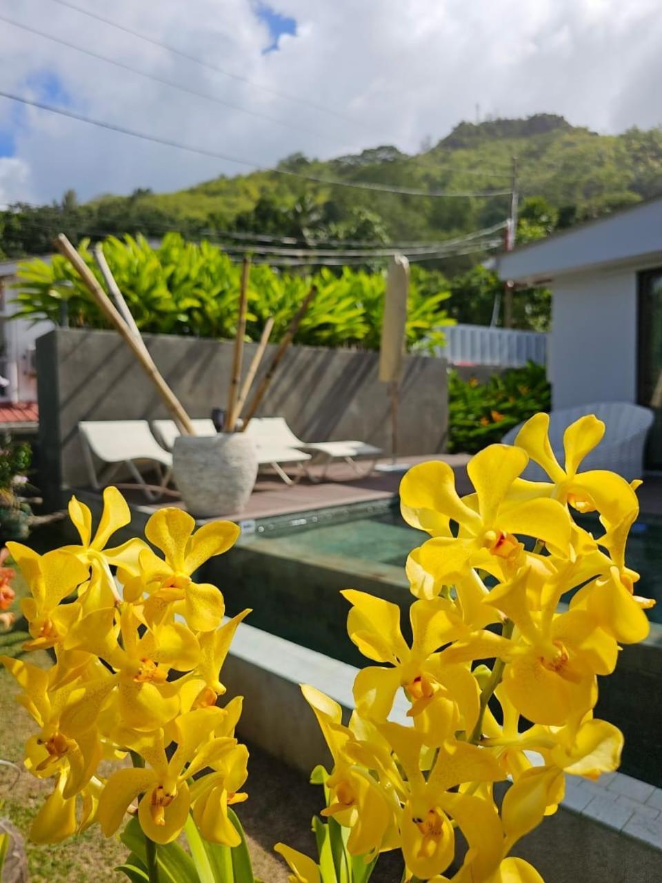 Villa Elodia By Le Duc Hotel & Villas Pointe Au Sel Bagian luar foto